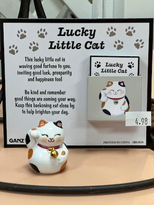 Lucky Little Cat